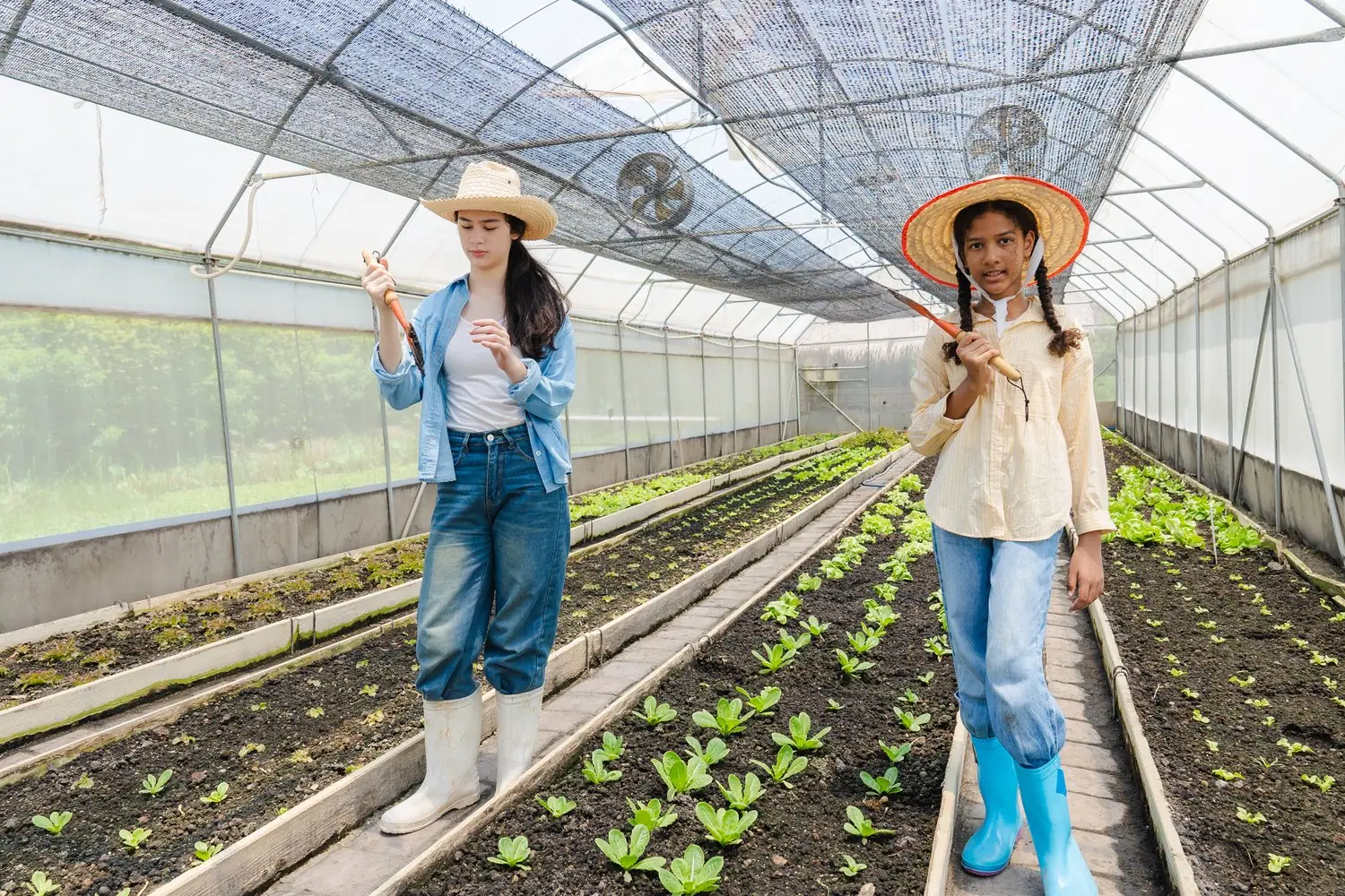 Agroturystyka ekologiczna organizacja pobytu wypoczynek