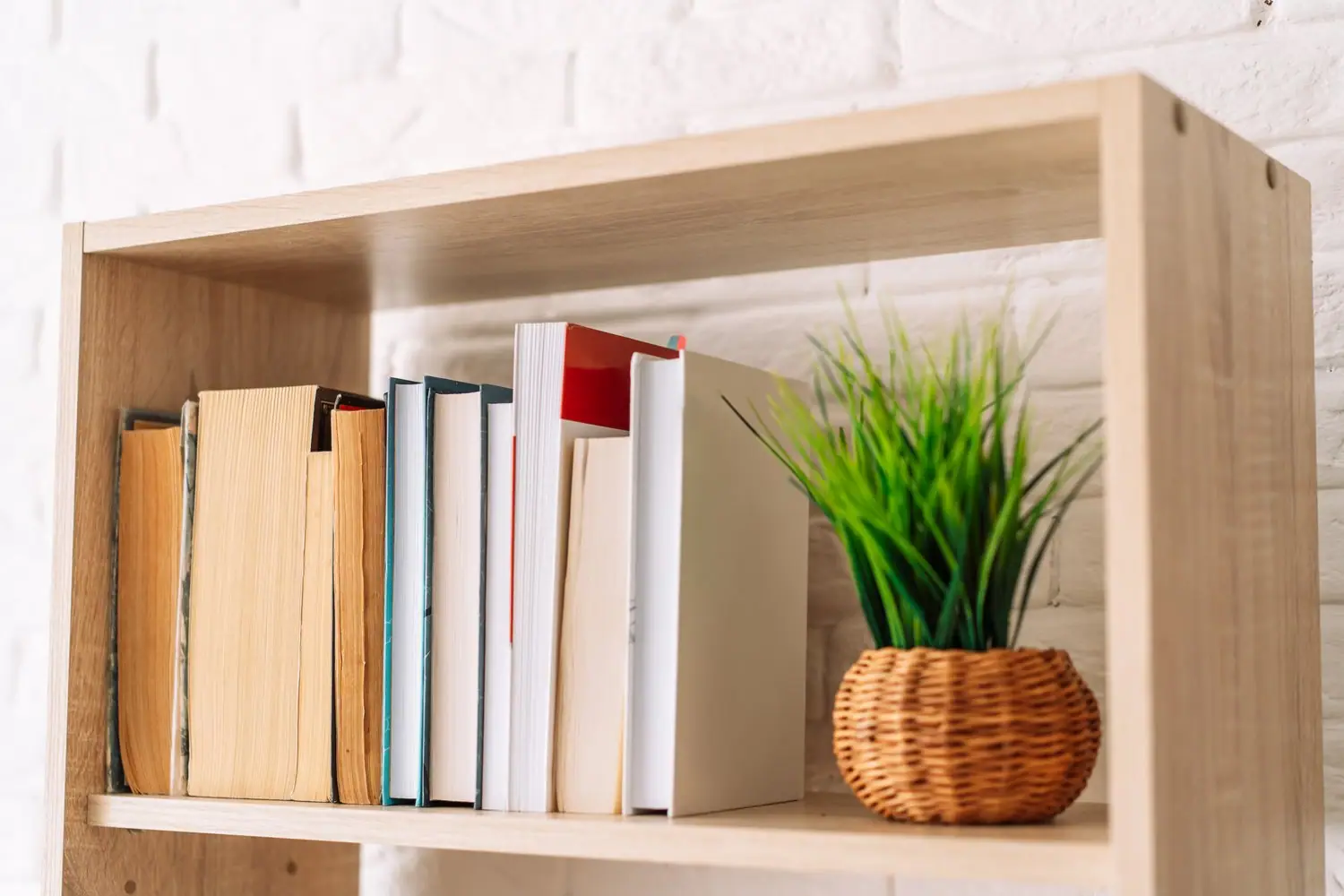 Jak zorganizować domową bibliotekę katalogowanie przechowywanie książek