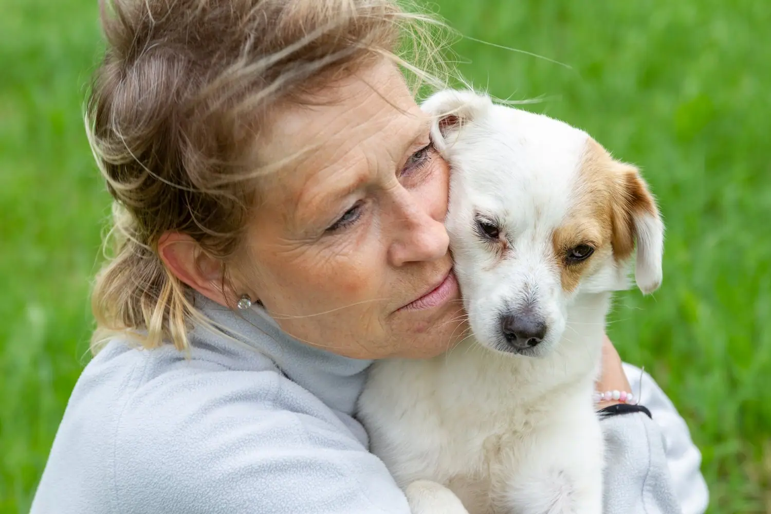 Społeczne projekty pomocy zwierzętom schroniska adopcje wolontariat